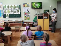 Всероссийский урок "Эколят - молодых защитников природы" - "Юные друзья леса"